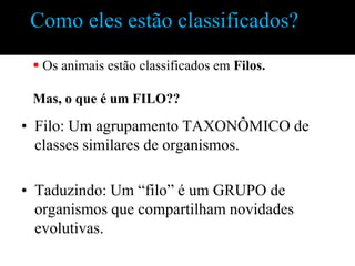 Como eles estão classificados?
  Os animais estão classificados em Filos.

 Mas, o que é um FILO??

• Filo: Um agrupamento TAXONÔMICO de
  classes similares de organismos.

• Taduzindo: Um “filo” é um GRUPO de
  organismos que compartilham novidades
  evolutivas.
 