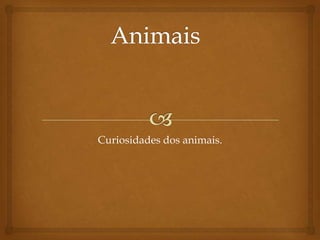 Curiosidades dos animais.
 