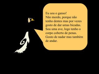 Eu sou o ganso!
Não mordo, porque não
tenho dentes mas por vezes
gosto de dar umas bicadas.
Sou uma ave, logo tenho o
corpo coberto de penas.
Gosto de nadar mas também
de andar.
 