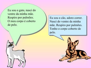 Eu sou o gato, nasci do
 Eu sou o gato, nasci do
ventre da minha mãe.
 ventre da minha mãe.
Respiro por pulmões.
 Respiro por pulmões.      Eu sou o cão, adoro correr.
                            Eu sou o cão, adoro correr.
O meu corpo éécoberto
 O meu corpo coberto       Nasci do ventre da minha
                            Nasci do ventre da minha
de pelo.
 de pelo.                  mãe. Respiro por pulmões.
                            mãe. Respiro por pulmões.
                           Tenho o corpo coberto de
                            Tenho o corpo coberto de
                           pelo.
                            pelo.
 