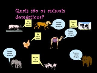 Quais são os animais
           domésticos?
                 Eu
                                     Sou um        Eu sou
               sou da
                                     animal          da
               quinta
                                    selvagem       quinta


                                                Sou um
                                                animal
                             Eu                selvagem
                           sou da
                           quinta




 Sou um
 animal                                               Sou um
selvagem                                              animal
                        Eu sou                       selvagem
                          da
                        quinta
 