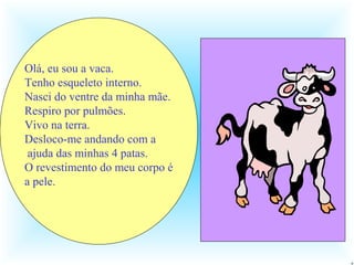 Olá, eu sou a vaca.
Tenho esqueleto interno.
Nasci do ventre da minha mãe.
Respiro por pulmões.
Vivo na terra.
Desloco-me andando com a
 ajuda das minhas 4 patas.
O revestimento do meu corpo é
a pele.
 