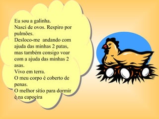 Eu sou aagalinha.
 Eu sou galinha.
Nasci de ovos. Respiro por
 Nasci de ovos. Respiro por
pulmões.
 pulmões.
Desloco-me andando com
 Desloco-me andando com
ajuda das minhas 2 patas,
 ajuda das minhas 2 patas,
mas também consigo voar
 mas também consigo voar
com aaajuda das minhas 2
 com ajuda das minhas 2
asas.
 asas.
Vivo em terra.
 Vivo em terra.
O meu corpo éécoberto de
 O meu corpo coberto de
penas.
 penas.
O melhor sítio para dormir
 O melhor sítio para dormir
ééna capoeira
   na capoeira
 