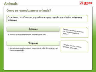 Os animais classificam-se segundo o seu processo de reprodução: ovíparos e
vivíparos.
Ovíparos
• Animais que se desenvolvem no interior de ovos.
Vivíparos
• Animais que se desenvolvem no ventre da mãe. A esse processo
chama-se gestação.
 