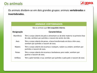 Os animais dividem-se em dois grandes grupos: animais vertebrados e
invertebrados.
ANIMAIS VERTEBRADOS
São os animais que têm esqueleto interno.
Designação Características
Mamíferos Têm o corpo coberto de pelo e alimentam-se de leite materno na primeira fase
de vida; ventilam por pulmões e nascem do ventre da mãe.
Aves Têm o corpo coberto de penas, a boca transformada em bico e têm asas;
ventilam por pulmões e nascem de ovos.
Répteis Têm o corpo coberto de escamas e rastejam, nadam ou andam; ventilam por
pulmões e nascem de ovos.
Peixes Têm o corpo coberto de escamas e barbatanas para nadar; ventilam por
guelras e nascem de ovos.
Anfíbios Têm a pele húmida e nua; ventilam por pulmões e pela pele e nascem de ovos
 