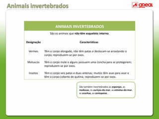 ANIMAIS INVERTEBRADOS
São os animais que não têm esqueleto interno.
Designação Características
Vermes Têm o corpo alongado, não têm patas e deslocam-se arrastando o
corpo; reproduzem-se por ovos.
Moluscos Têm o corpo mole e alguns possuem uma concha para se protegerem;
reproduzem-se por ovos.
Insetos Têm o corpo seis patas e duas antenas; muitos têm asas para voar e
têm o corpo coberto de quitina; reproduzem-se por ovos.
São também invertebrados as esponjas, as
medusas, os ouriços-do-mar, as estrelas-do-mar,
as aranhas, as centopeias…
 