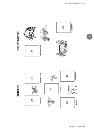 EMEF “JÚLIO DE MESQUITA FILHO”

34

Cirlei Poli

e

Joelma Santos

 