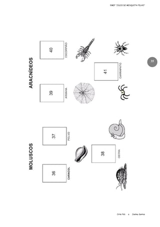 EMEF “JÚLIO DE MESQUITA FILHO”

35

Cirlei Poli

e

Joelma Santos

 