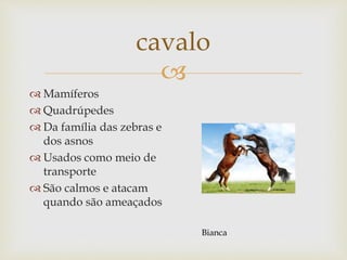 
cavalo
 Mamíferos
 Quadrúpedes
 Da família das zebras e
dos asnos
 Usados como meio de
transporte
 São calmos e atacam
quando são ameaçados
Bianca
 
