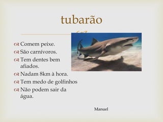 
tubarão
 Comem peixe.
 São carnívoros.
 Tem dentes bem
afiados.
 Nadam 8km à hora.
 Tem medo de golfinhos
 Não podem sair da
água.
Manuel
 