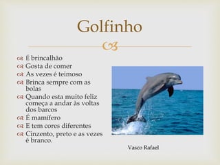 
Golfinho
 É brincalhão
 Gosta de comer
 As vezes é teimoso
 Brinca sempre com as
bolas
 Quando esta muito feliz
começa a andar às voltas
dos barcos
 É mamífero
 E tem cores diferentes
 Cinzento, preto e as vezes
é branco.
Vasco Rafael
 