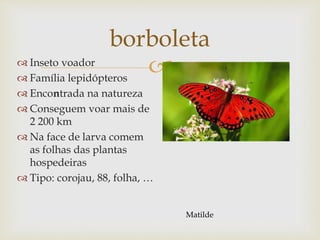 
borboleta
 Inseto voador
 Família lepidópteros
 Encontrada na natureza
 Conseguem voar mais de
2 200 km
 Na face de larva comem
as folhas das plantas
hospedeiras
 Tipo: corojau, 88, folha, …
Matilde
 