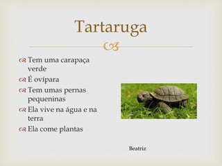 
Tartaruga
 Tem uma carapaça
verde
 É ovípara
 Tem umas pernas
pequeninas
 Ela vive na água e na
terra
 Ela come plantas
Beatriz
 