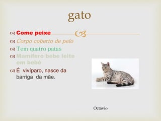 
gato
 Come peixe
 Corpo coberto de pelo
 Tem quatro patas
 Mamífero bebe leite
em bebé
 É vivíparo, nasce da
barriga da mãe.
Octávio
 