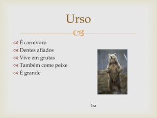 
Urso
 É carnívoro
 Dentes afiados
 Vive em grutas
 Também come peixe
 É grande
Isa
 