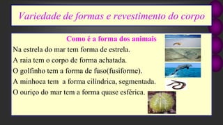 Variedade de formas e revestimento do corpo
Como é a forma dos animais
Na estrela do mar tem forma de estrela.
A raia tem o corpo de forma achatada.
O golfinho tem a forma de fuso(fusiforme).
A minhoca tem a forma cilíndrica, segmentada.
O ouriço do mar tem a forma quase esférica.
 