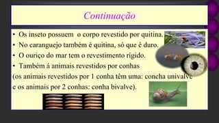 Continuação
• Os inseto possuem o corpo revestido por quitina.
• No caranguejo também é quitina, só que é duro.
• O ouriço do mar tem o revestimento rígido.
• Também á animais revestidos por conhas
(os animais revestidos por 1 conha têm uma: concha univalve
e os animais por 2 conhas: conha bivalve).
 