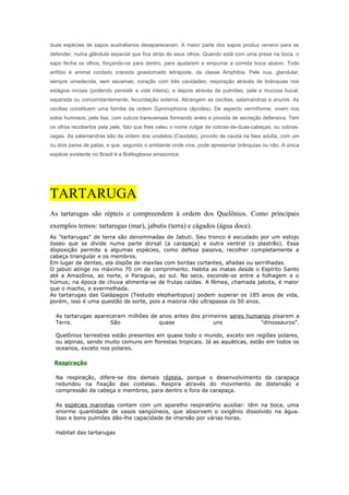 duas espécies de sapos australianos desapareceram. A maior parte dos sapos produz veneno para se
defender, numa glândula especial que fica atrás de seus olhos. Quando está com uma presa na boca, o
sapo fecha os olhos, forçando-os para dentro, para ajudarem a empurrar a comida boca abaixo. Todo
anfíbio é animal cordado craniota gnastomado tetrápode, da classe Amphibia. Pele nua, glandular,
sempre umedecida, sem escamas; coração com três cavidades; respiração através de brânquias nos
estágios iniciais (podendo persistir a vida inteira), e depois através de pulmões, pele e mucosa bucal,
separada ou concomitantemente; fecundação externa. Abrangem as cecílias, salamandras e anuros. As
cecílias constituem uma família da ordem Gymnophiona (ápodes). De aspecto vermiforme, vivem nos
solos humosos, pele lisa, com sulcos transversais formando anéis e provida de secreção defensiva. Tem
os olhos recobertos pela pele, fato que lhes valeu o nome vulgar de cobras-de-duas-cabeças, ou cobras-
cegas. As salamandras são da ordem dos urodelos (Caudata), provido de cauda na fase adulta, com um
ou dois pares de patas, e que, segundo o ambiente onde vive, pode apresentar brânquias ou não. A única
espécie existente no Brasil é a Bolitoglossa amazonica.
TARTARUGA
As tartarugas são répteis e compreendem à ordem dos Quelônios. Como principais
exemplos temos: tartarugas (mar), jabutis (terra) e cágados (água doce).
As "tartarugas" de terra são denominadas de Jabuti. Seu tronco é escudado por um estojo
ósseo que se divide numa parte dorsal (a carapaça) e outra ventral (o plastrão). Essa
disposição permite a algumas espécies, como defesa passiva, recolher completamente a
cabeça triangular e os membros.
Em lugar de dentes, ela dispõe de maxilas com bordas cortantes, afiadas ou serrilhadas.
O jabuti atinge no máximo 70 cm de comprimento. Habita as matas desde o Espírito Santo
até a Amazônia, ao norte, e Paraguai, ao sul. Na seca, esconde-se entre a folhagem e o
húmus; na época de chuva alimenta-se de frutas caídas. A fêmea, chamada jabota, é maior
que o macho, e avermelhada.
As tartarugas das Galápagos (Testudo elephantopus) podem superar os 185 anos de vida,
porém, isso é uma questão de sorte, pois a maioria não ultrapassa os 50 anos.
As tartarugas apareceram milhões de anos antes dos primeiros seres humanos pisarem a
Terra. São quase uns "dinossauros".
Quelônios terrestres estão presentes em quase todo o mundo, exceto em regiões polares,
ou alpinas, sendo muito comuns em florestas tropicais. Já as aquáticas, estão em todos os
oceanos, exceto nos polares.
Respiração
Na respiração, difere-se dos demais répteis, porque o desenvolvimento da carapaça
redundou na fixação das costelas. Respira através do movimento de distensão e
compressão da cabeça e membros, para dentro e fora da carapaça.
As espécies marinhas contam com um aparelho respiratório auxiliar: têm na boca, uma
enorme quantidade de vasos sangüíneos, que absorvem o oxigênio dissolvido na água.
Isso e bons pulmões dão-lhe capacidade de imersão por várias horas.
Habitat das tartarugas
 