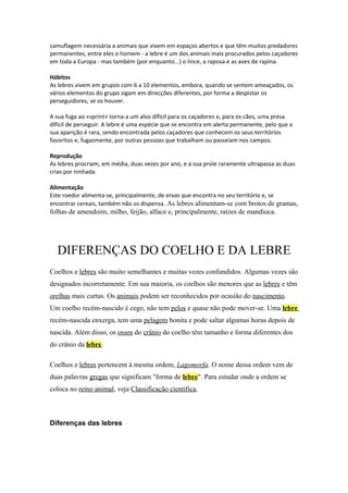 camuflagem necessária a animais que vivem em espaços abertos e que têm muitos predadores
permanentes, entre eles o homem - a lebre é um dos animais mais procurados pelos caçadores
em toda a Europa - mas também (por enquanto...) o lince, a raposa e as aves de rapina.
Hábitos
As lebres vivem em grupos com 6 a 10 elementos, embora, quando se sentem ameaçados, os
vários elementos do grupo sigam em direcções diferentes, por forma a despistar os
perseguidores, se os houver.
A sua fuga ao «sprint» torna-a um alvo díficil para os caçadores e, para os cães, uma presa
difícil de perseguir. A lebre é uma espécie que se encontra em alerta permanente, pelo que a
sua aparição é rara, sendo encontrada pelos caçadores que conhecem os seus territórios
favoritos e, fugazmente, por outras pessoas que trabalham ou passeiam nos campos.
Reprodução
As lebres procriam, em média, duas vezes por ano, e a sua prole raramente ultrapassa as duas
crias por ninhada.
Alimentação
Este roedor alimenta-se, principalmente, de ervas que encontra no seu território e, se
encontrar cereais, também não os dispensa. As lebres alimentam-se com brotos de gramas,
folhas de amendoim, milho, feijão, alface e, principalmente, raízes de mandioca.
DIFERENÇAS DO COELHO E DA LEBRE
Coelhos e lebres são muito semelhantes e muitas vezes confundidos. Algumas vezes são
designados incorretamente. Em sua maioria, os coelhos são menores que as lebres e têm
orelhas mais curtas. Os animais podem ser reconhecidos por ocasião do nascimento.
Um coelho recém-nascido é cego, não tem pelos e quase não pode mover-se. Uma lebre
recém-nascida enxerga, tem uma pelagem bonita e pode saltar algumas horas depois de
nascida. Além disso, os ossos do crânio do coelho têm tamanho e forma diferentes dos
do crânio da lebre.
Coelhos e lebres pertencem à mesma ordem, Lagomorfa. O nome dessa ordem vem de
duas palavras gregas que significam "forma de lebre". Para estudar onde a ordem se
coloca no reino animal, veja Classificação científica.
Diferenças das lebres
 