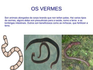 OS PEIXES
Os peixes viven na auga e respiran a través de branquias. Teñen a pel cuberta de
escamas e as extremidades son aletas. Son ovíparos. A maioría poñen moitos
ovos que non adoitan coidar.
 