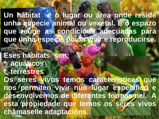 OS INVERTEBRADOS
Os invertebrados non teñen ósos nin columna vertebral, a
maioría son ovíparos. Os invertebrados encóntranse tanto na
terra firme coma na auga. Existe un gran número de grupos de
invertebrados.
 