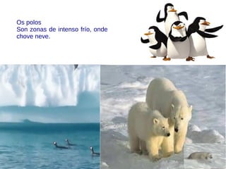 OS MOLUSCOS:
Son invertebrados de corpo brando. A maioría teñen unha ou
dúas cunchas que os protexen. Gran parte dos moluscos
viven na auga, outros na terra. Os moluscos son ovíparos. A
cría e moi diferente a o adulto e chámanlle larva.
 