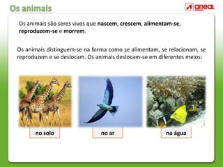 Os animais são seres vivos que nascem, crescem, alimentam-se,
reproduzem-se e morrem.
Os animais distinguem-se na forma como se alimentam, se relacionam, se
reproduzem e se deslocam. Os animais deslocam-se em diferentes meios:
no solo no ar na água
 