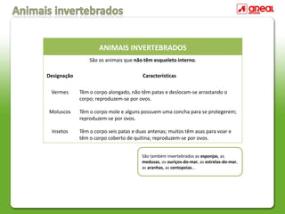 ANIMAIS INVERTEBRADOS
São os animais que não têm esqueleto interno.
Designação Características
Vermes Têm o corpo alongado, não têm patas e deslocam-se arrastando o
corpo; reproduzem-se por ovos.
Moluscos Têm o corpo mole e alguns possuem uma concha para se protegerem;
reproduzem-se por ovos.
Insetos Têm o corpo seis patas e duas antenas; muitos têm asas para voar e
têm o corpo coberto de quitina; reproduzem-se por ovos.
São também invertebrados as esponjas, as
medusas, os ouriços-do-mar, as estrelas-do-mar,
as aranhas, as centopeias…
 