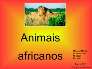 Animais  africanos  Maxuel Marcos Filipe Gomes Michael Douglas Turma:12C Professora:Adriana 