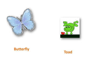 ButterflyToad