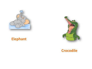 ElephantCrocodile