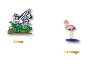 ZebraFlamingo