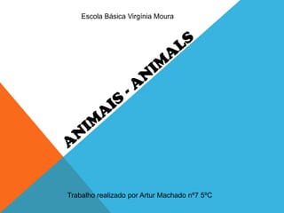 Escola Básica Virgínia Moura Animais - animals Trabalho realizado por Artur Machado nº7 5ºC 