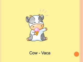 Cow - Vaca