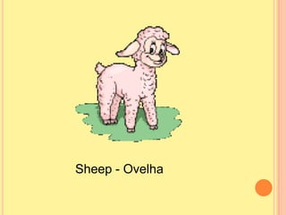 Sheep - Ovelha