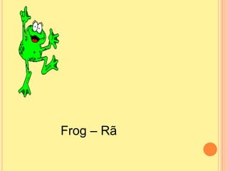 Frog – Rã 