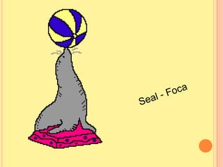 Seal - Foca
