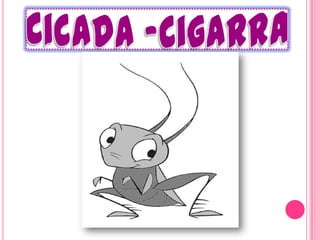 Cicada -Cigarra