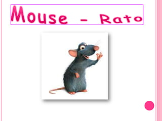 Mouse - Rato