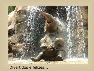 Divertidos e felizes...  