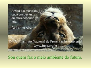 Sou quem faz o meio ambiente do futuro. INPA – Instituto Nacional de Preservação Ambiental www.inpa.org.br A vida e a morte de cada um destes animais depende de nós. Deixem viver! 