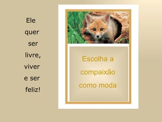 Escolha a  compaixão  como moda  Ele  quer ser livre, viver  e ser feliz! 