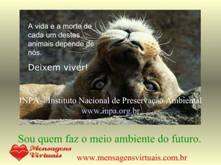 Sou quem faz o meio ambiente do futuro. INPA – Instituto Nacional de Preservação Ambiental www.inpa.org.br www.mensagensvirtuais.com.br A vida e a morte de cada um destes animais depende de nós. Deixem viver! 