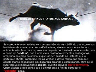RODEIO E MAUS TRATOS AOS ANIMAIS RODEIO E MAUS TRATOS AOS ANIMAIS Se você já foi a um rodeio, com certeza não viu nem 10% do que ocorre nos bastidores da arena para que o dócil animal, vire como por encanto, um animal bravio. Isso mesmo, colocam naquele dócil animal um apetrecho com o nome de  "sedém ", que é uma cinta contendo elementos pontiagudos, amarrada no corpo do animal e que, ao ser puxada no instante que a porteira é aberta, comprime-lhe as virilhas e dessa forma, faz com que aquele manso animal saia em disparada pulando e corcoveando, afim de se livrar daquele inconveniente  sedém , que lhe provoca  dor e tormento . Quem assiste a isso pensa que o animal pula a fim de derrubar o  " valente "  peão. 
