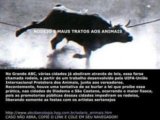 RODEIO E MAUS TRATOS AOS ANIMAIS RODEIO E MAUS TRATOS AOS ANIMAIS No Grande ABC, várias cidades já aboliram através de leis, essa farsa chamada rodeio, a partir de um trabalho desenvolvido pela UIPA-União Internacional Protetora dos Animais, junto aos vereadores. Recentemente, houve uma tentativa de se burlar a lei que proíbe essa prática, nas cidades de Diadema e São Caetano, ocorrendo o maior fiasco, pois as promotorias públicas dessas cidades impediram os rodeios, liberando somente as festas com os artistas sertanejos http://www. abcdaecologia . hpg .com. br/solaris_animais . htm CASO NÃO ABRA, COPIE O LINK E COLE EM SEU NAVEGADOR! 