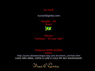 by nur@ [email_address] Brasília - DF Brasil Música: “ Cortazar - At your side” Pesquisa NURA SLIDES Fonte: http://www. abcdaecologia . hpg .com. br/solaris_animais . htm CASO NÃO ABRA, COPIE O LINK E COLE EM SEU NAVEGADOR! 