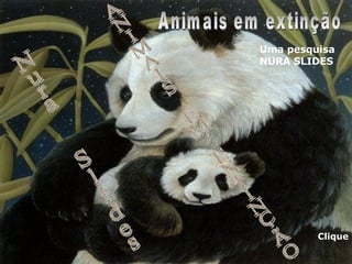 Nura  Slides ANIMAIS EM EXTINÇÃO Animais em extinção Uma pesquisa NURA SLIDES Clique 