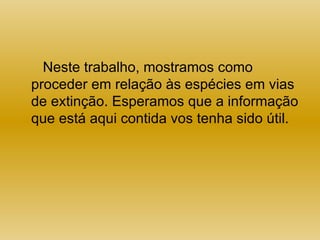 Neste trabalho, mostramos como proceder em relação às espécies em vias de extinção. Esperamos que a informação que está aqui contida vos tenha sido útil.  