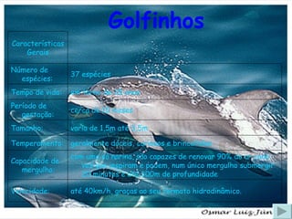 Golfinhos até 40km/h, graças ao seu formato hidrodinâmico. Velocidade: com uma só narina, são capazes de renovar 90% do ar cada vez que inspiram e podem, num único mergulho submergir 20 minutos e até 300m de profundidade Capacidade de mergulho: geralmente dóceis, curiosos e brincalhões Temperamento: varia de 1,5m até 3,5m Tamanho: cerca de 10 meses Período de gestação: em torno de 35 anos Tempo de vida: 37 espécies Número de espécies: Características Gerais 