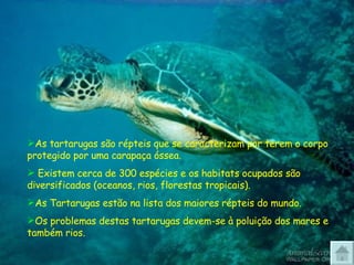 As tartarugas são répteis que se caracterizam por terem o corpo protegido por uma carapaça óssea. Existem cerca de 300 espécies e os habitats ocupados são diversificados (oceanos, rios, florestas tropicais).  As Tartarugas estão na lista dos maiores répteis do mundo.  Os problemas destas tartarugas devem-se à poluição dos mares e também rios. 